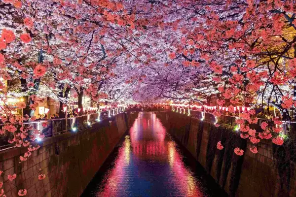 Fuji and Lake Kawaguchi Tour-Per Group (Hotel Pick Up) Customizable - Image 2