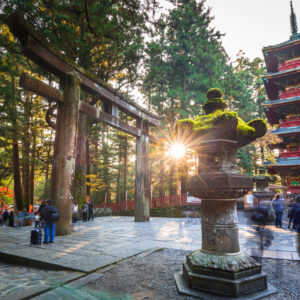Book Nikko Tour | Private Day Chauffeur Tour | Tokyo Grand Tours