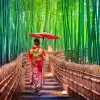 Osaka Tour