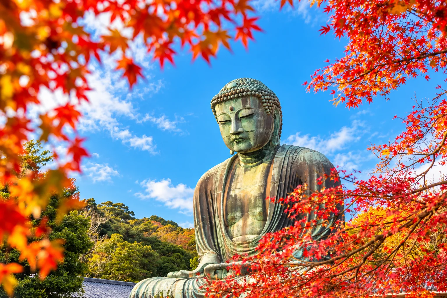 The bronze Great Buddha of Kamakura framed by red and orange autumn leaves.