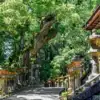A shaded path lined with moss-covered stone lanterns beside shrine buildings at Kasuga Taisha in Nara.
