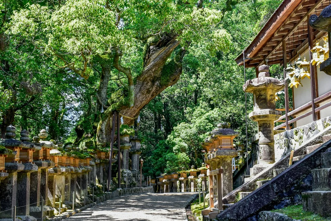 A shaded path lined with moss-covered stone lanterns beside shrine buildings at Kasuga Taisha in Nara.