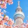 Tokyo Skytree seen from below, framed by pink cherry blossoms against a blue sky.